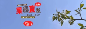 电商美食促销水果全屏海报PSD模版banner