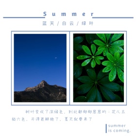 蓝色摄影夏天旅行植物公众号正方形配图