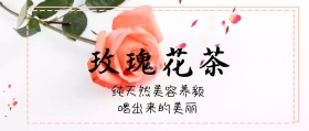 玫瑰花茶公众号封面