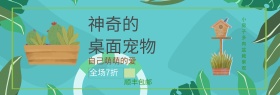 绿色小清新植物盆栽多肉桌面宠物电商海报banner