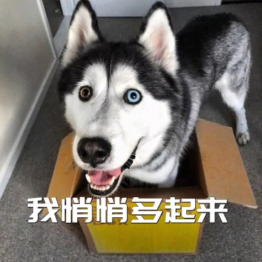 悄悄探头 表情包