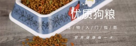 宠物用品优质狗粮海报
