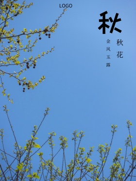 秋季文艺红包配图海报