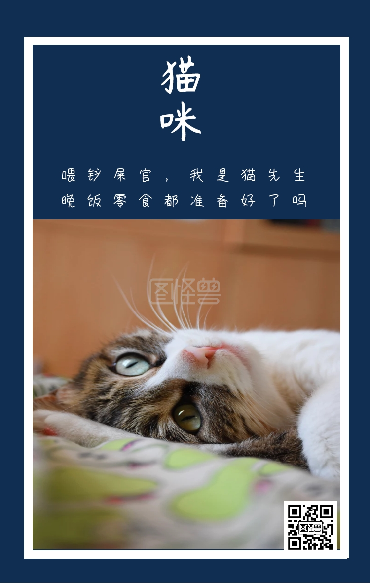 图怪兽手机海报频道提供《猫咪 喂铲屎官,我是