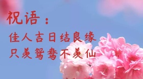 结婚祝福语公众号封面