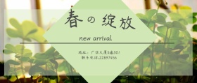 花花世界春季新品横条封面