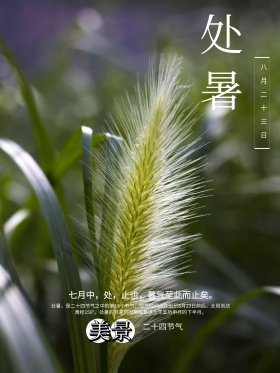 处暑节气创意简约花灯唯美海报设计