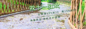 双十一淘宝促销简约直通车海报