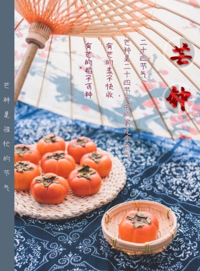 二十四节气芒种传统节日海报