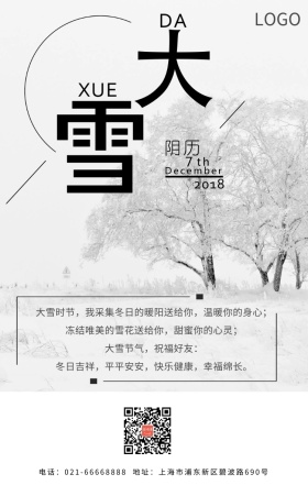 大雪节气白色雪花冰雪飘雪雪地祝福日签