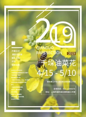 简约兴化千垛油菜花宣传海报