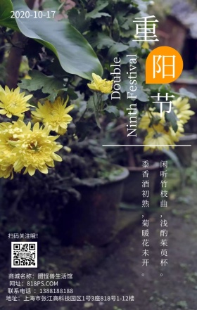 重阳节节日菊花文艺简约日签