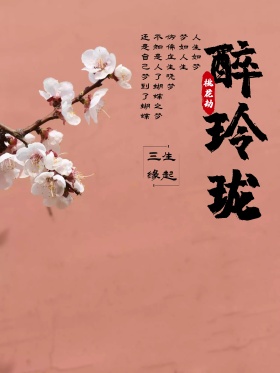 唯美桃花粉色醉玲珑电视剧海报