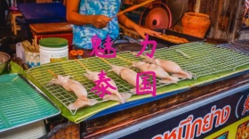 泰国创意简约旅游宣传公众号封面
