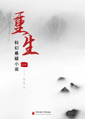 重生简约白色印刷书籍封面小说