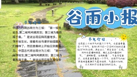 谷雨节气插画宣传手抄报