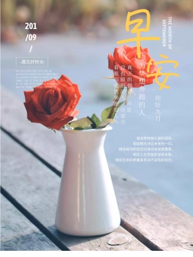 蓝色文艺小清新花束早安红包配图