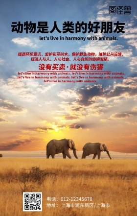保护动物 手机海报
