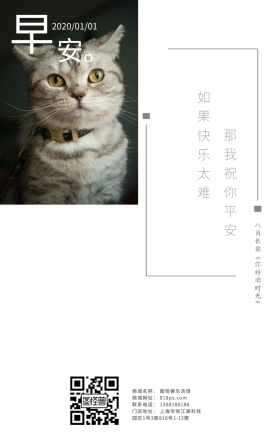 早晨睡觉宠物纯色简约日式心情日签