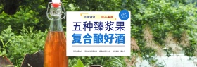 天猫电商淘宝果酒全球酒水节促销活动海报banner模板设计