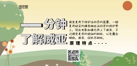 威亚图威压简约宣传印刷横版海报
