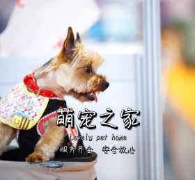 萌宠之家朋友圈封面