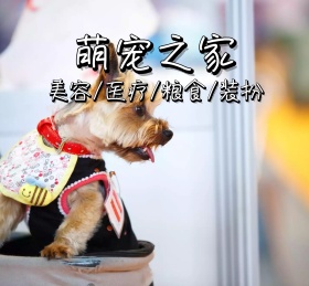 萌宠之家可爱朋友圈