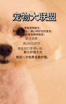  萌宠当家宠物店营销海报