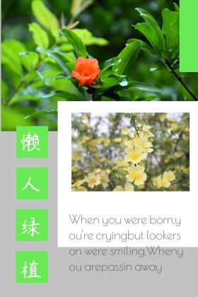 懒人绿植养护公众号配图