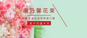 康乃馨淘宝移动banner