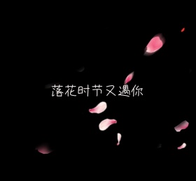 落花朋友圈封面