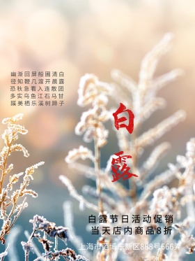 白露节日海报