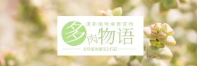清新简约多肉植物折扣电商banner图片