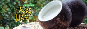 淘宝电商美食水果清新风椰子全屏海报PSD模版banner