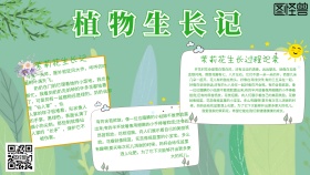 植物生长记手抄报绿色简约