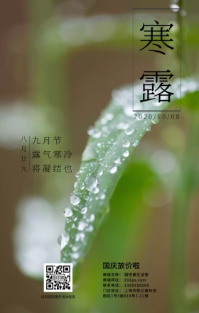 二十四节气寒露水墨风日签