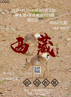 西藏旅游宣传海报
