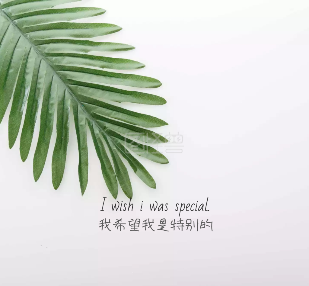 我希望我是特别的情话表白文艺朋友圈封面