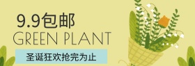 圣诞节简约绿色植物促销海报banner