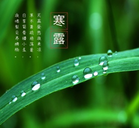二十四节气寒露时节朋友圈封面