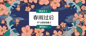 春雨过后 柳枝绿了 桃花笑了 空气变得清新了 春季春天你好公众号封面