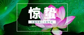 惊蛰节气公众号封面