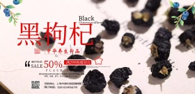 黑枸杞海报