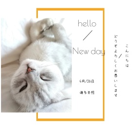 你好新的一天简约萌宠白色方形配图