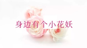 植物类传说红包公众号封面图
