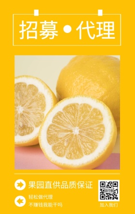招募 代理 加入我们 轻松做代理 不赚钱我能干吗 果园直供品质保证 水果招募代理简约手机海报