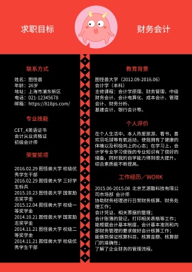 红色黑色白色财务简约求职简历