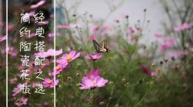 花瓶文艺搭配之选公众号封面模版