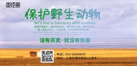保护野生动物
