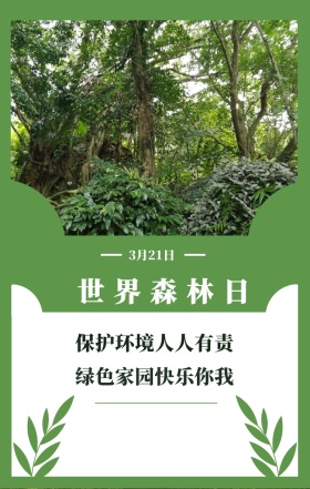 世界森林日 3月21日 保护环境人人有责 绿色家园快乐你我 世界森林日简约公益手机海报